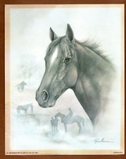 Ruane manning horse for sale  Fairburn