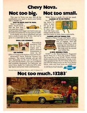 1976 chervrolet chevy for sale 1976 chervrolet chevy for sale  Austin