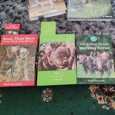 Working terrier for sale  LANCASTER