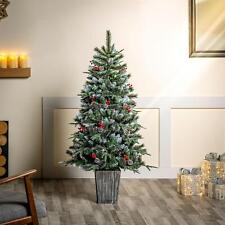 potted christmas tree for sale potted christmas tree for sale BIRMINGHAM