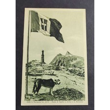 Cartolina gran bernardo usato  Alessandria