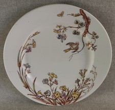 Assiette plate ceramique d'occasion  Monnaie