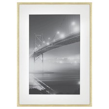 15.4 x21.4 matted for sale  USA