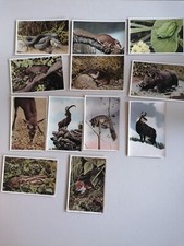 Cigaretten bilderdienst wald gebraucht kaufen  Grevenbroich