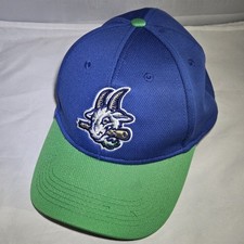 Minor league baseball for sale  Sandy Hook