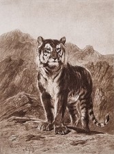 Estampa Rosa Suerte Numerada XIX "Tigre En Las Grandes Montes" comprar usado  Enviando para Brazil