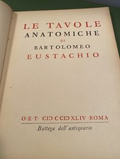 Pazzini introduzione commento usato  Roma