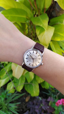 Raro Vintage 1960 Seiko Champion J13040 19J. Bom estado e funcionando. comprar usado  Enviando para Brazil