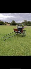 Bennington buccaneer pony for sale  GLOUCESTER