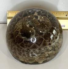 Vintage real diamondback for sale  Junction City