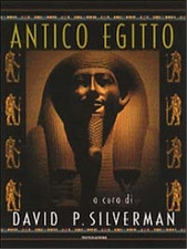 Silverman david antico usato  Reggello