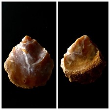 Large prehistoric neolithic for sale  PETERBOROUGH