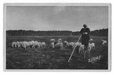 Cpa landes carte d'occasion  Liffol-le-Grand
