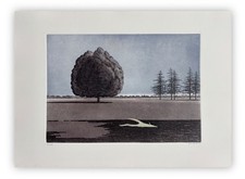 Gino guida usato  Nettuno