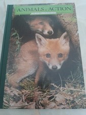 Animals action living for sale  WORCESTER