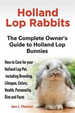 Holland lop rabbits for sale  Jessup