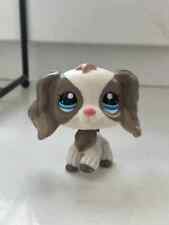 littlest pet shop spaniel blythe #2254 lps na sprzedaż  PL