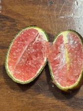 Limone caviale 100 usato  Barcellona Pozzo di Gotto