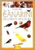 Allevare canarini canto usato  Italia