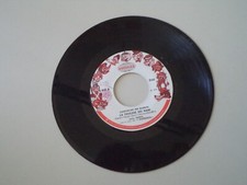 Disco vinile giri usato  Salerno