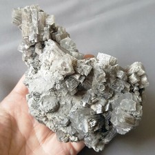 P11 bella aragonite usato  Italia