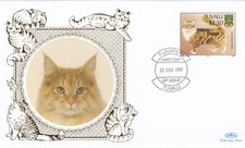 Cats american maine for sale Cats american maine for sale  SOUTHALL