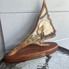 Cloud dancer american for sale  Miami