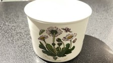 portmeirion plant pot for sale  HIGH WYCOMBE
