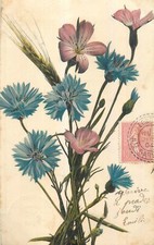 Bouquet fleurs epi d'occasion  Vasles