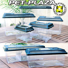 Dragon pet plaza gebraucht kaufen  Duisburg