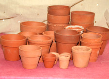 Various size terracotta for sale  SOUTHEND-ON-SEA