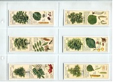 Trees countryside 1938 for sale  SWINDON