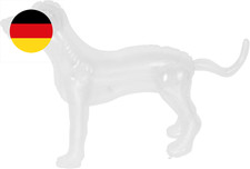 Klare hundeschaufensterpuppe k gebraucht kaufen  Mettenheim