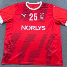 Denmark team 2023 d'occasion  Expédié en Belgium