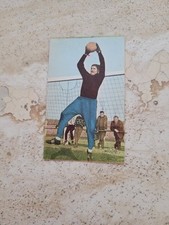 Petar radenkovic 1860 gebraucht kaufen  Wegberg