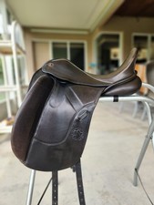 Hennig german dressage for sale  Palm City