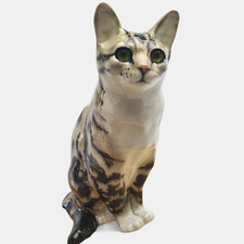Winstanley large tabby for sale  SEAFORD