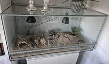terrarium 120 x 50 gebraucht kaufen terrarium 120 x 50 gebraucht kaufen Untereisesheim