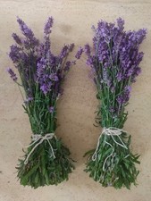 Frische Blumensträuße gebraucht kaufen  Langenhagen