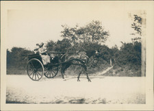 Plessis voiture tirée d'occasion  Pagny-sur-Moselle