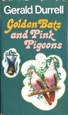 Golden bats pink for sale  ROSSENDALE