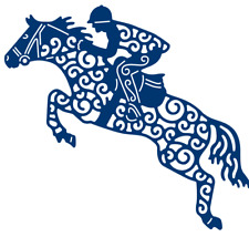 Tattered lace horse for sale  BIRMINGHAM