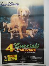 4 cuccioli usato  Italia