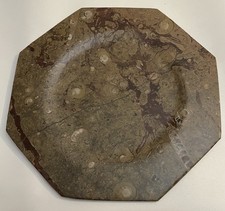Stone ammonite fossil for sale  Santa Clara