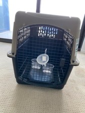 Premium plastic dog for sale  Miami Beach