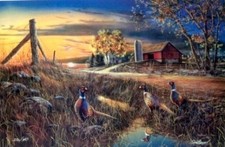 Jim hansel roadside for sale  Annandale