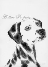 Dalmatian dog disegno usato  Italia