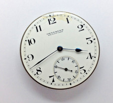 Waltham pocket watch for sale  DALRY