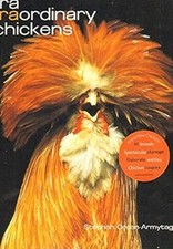 Extra extraordinary chickens for sale  Mishawaka