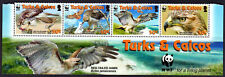 Turks caicos 2007 for sale  YARM